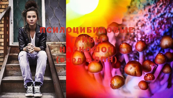 МДПВ Алагир