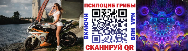 Галлюциногенные грибы Psilocybe  Купить где  Кунгур 