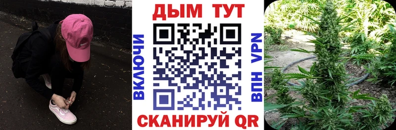 Купить закладки  Кунгур  Бошки марихуана SATIVA & INDICA 